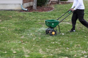 seeding and fertilizing