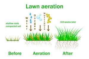 avoid-soil-compaction