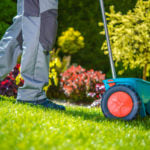 overseeding-lawn-in-fall