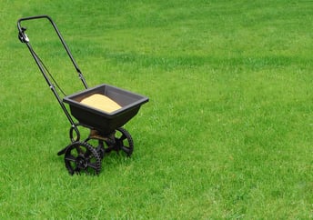 how long to stay off lawn after seeding