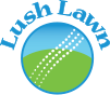 Lush Lawn