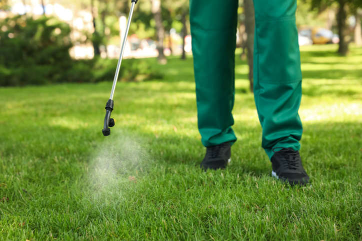 best lawn insect killers