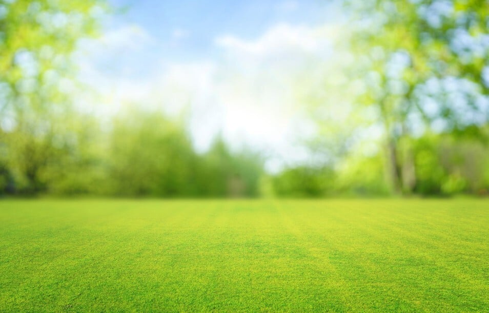 Spring Lawn Care Checklist