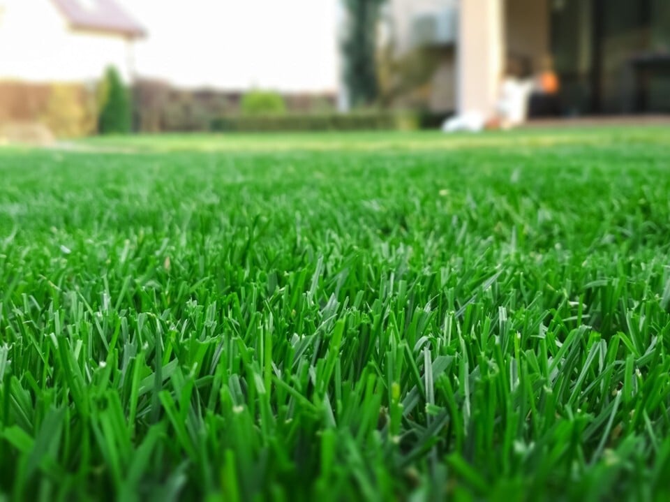 The Ultimate Lawn Care Calendar: What to Do Each Season